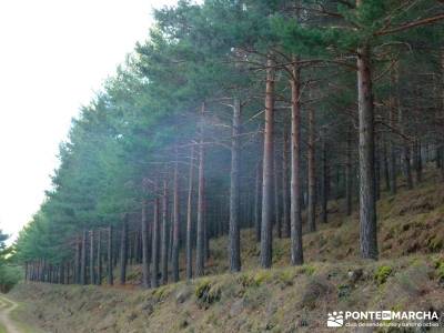 Sestil de Maillo - Mojonavalle; grupo de senderismo; trekking madrid;trekking madeira